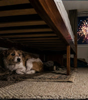 New Year's Eve