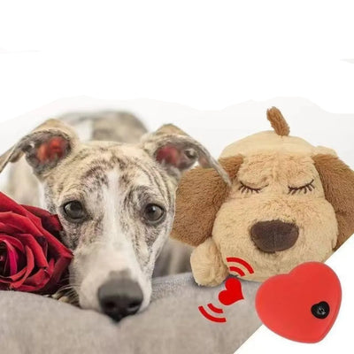 PAWZA™ HeartBeat Comfort Plush