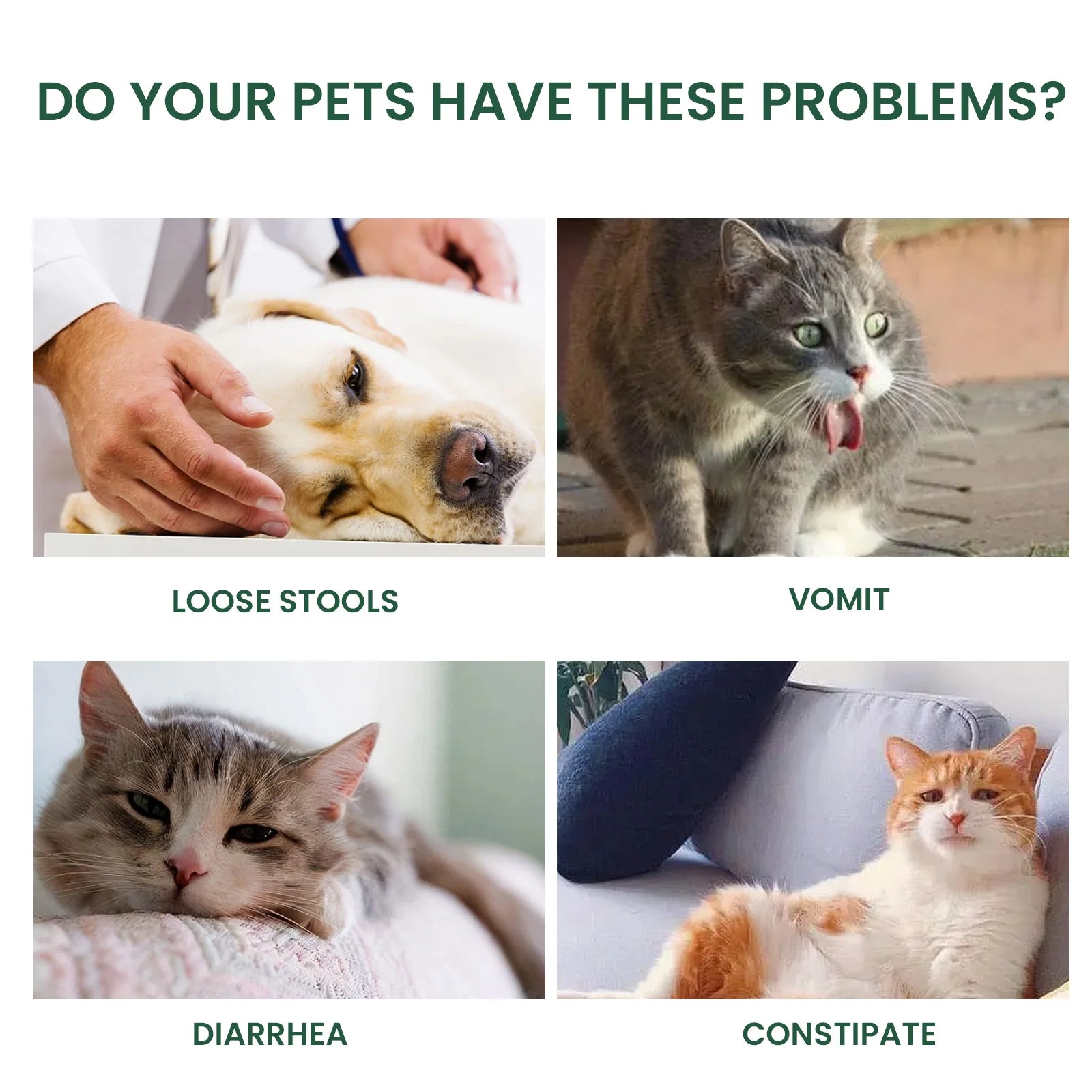PAWZA™ BioGuard Probiotic Drops