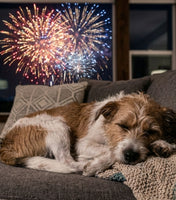 New Year's Eve