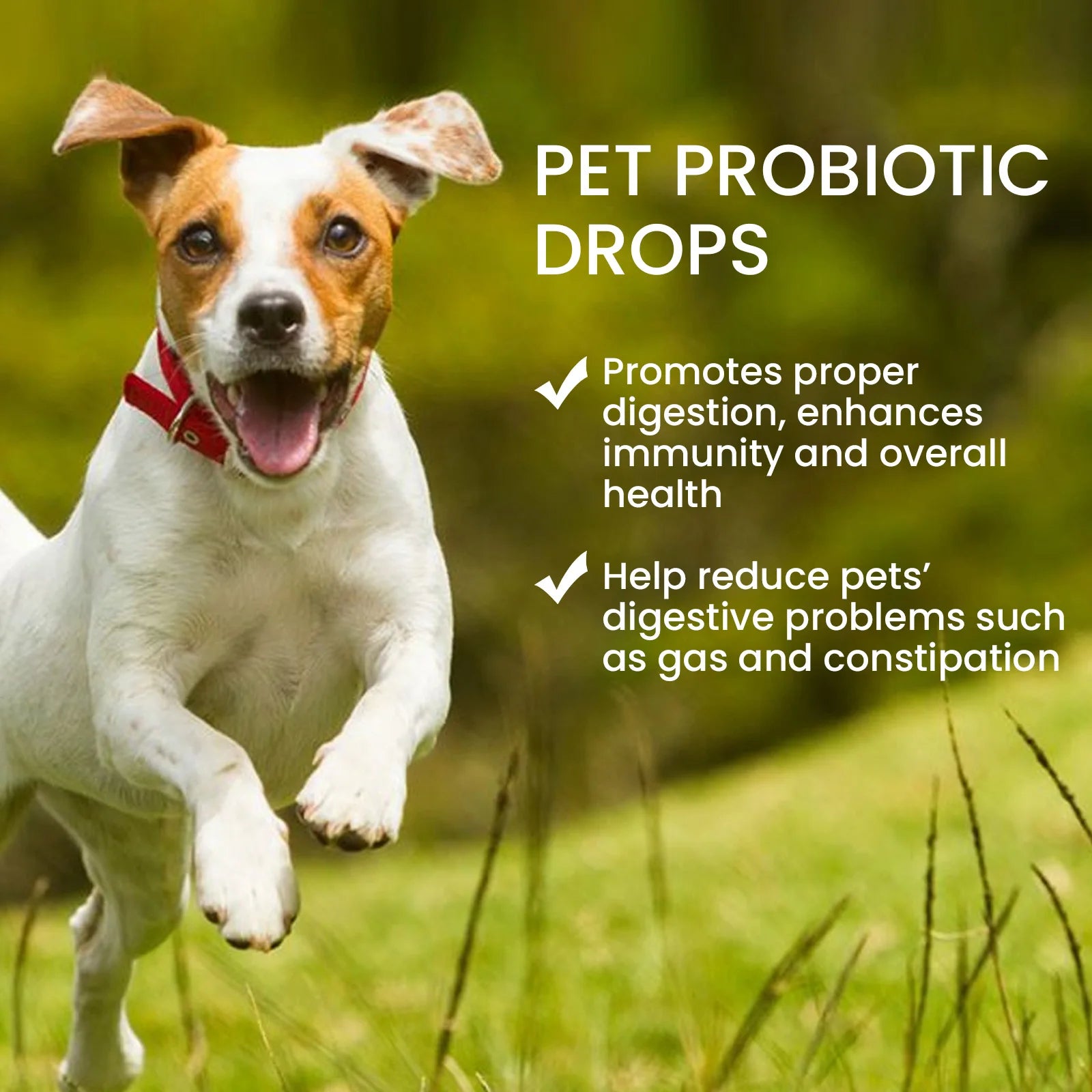 PAWZA™ BioGuard Probiotic Drops