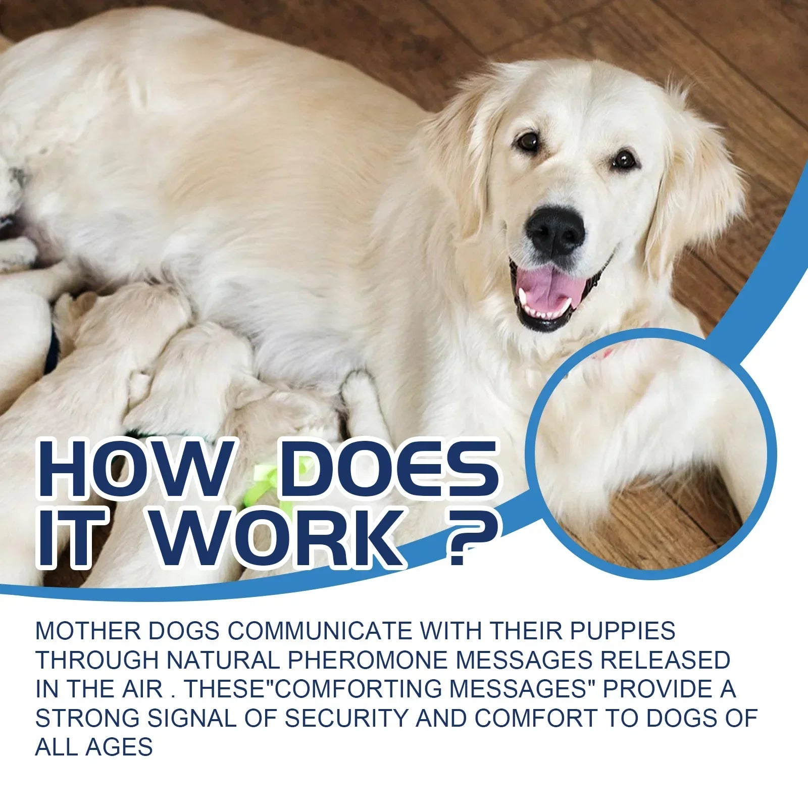 PAWZA™ CalmFlow Anti-Stress Calming Liquid