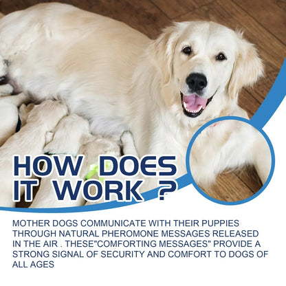 PAWZA™ CalmFlow Anti-Stress Calming Liquid