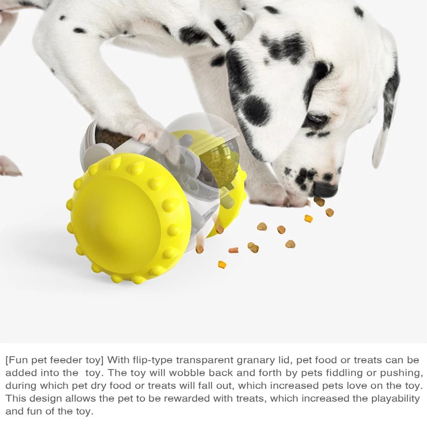 PAWZA™ BalanceCar Slow Feeder Toy