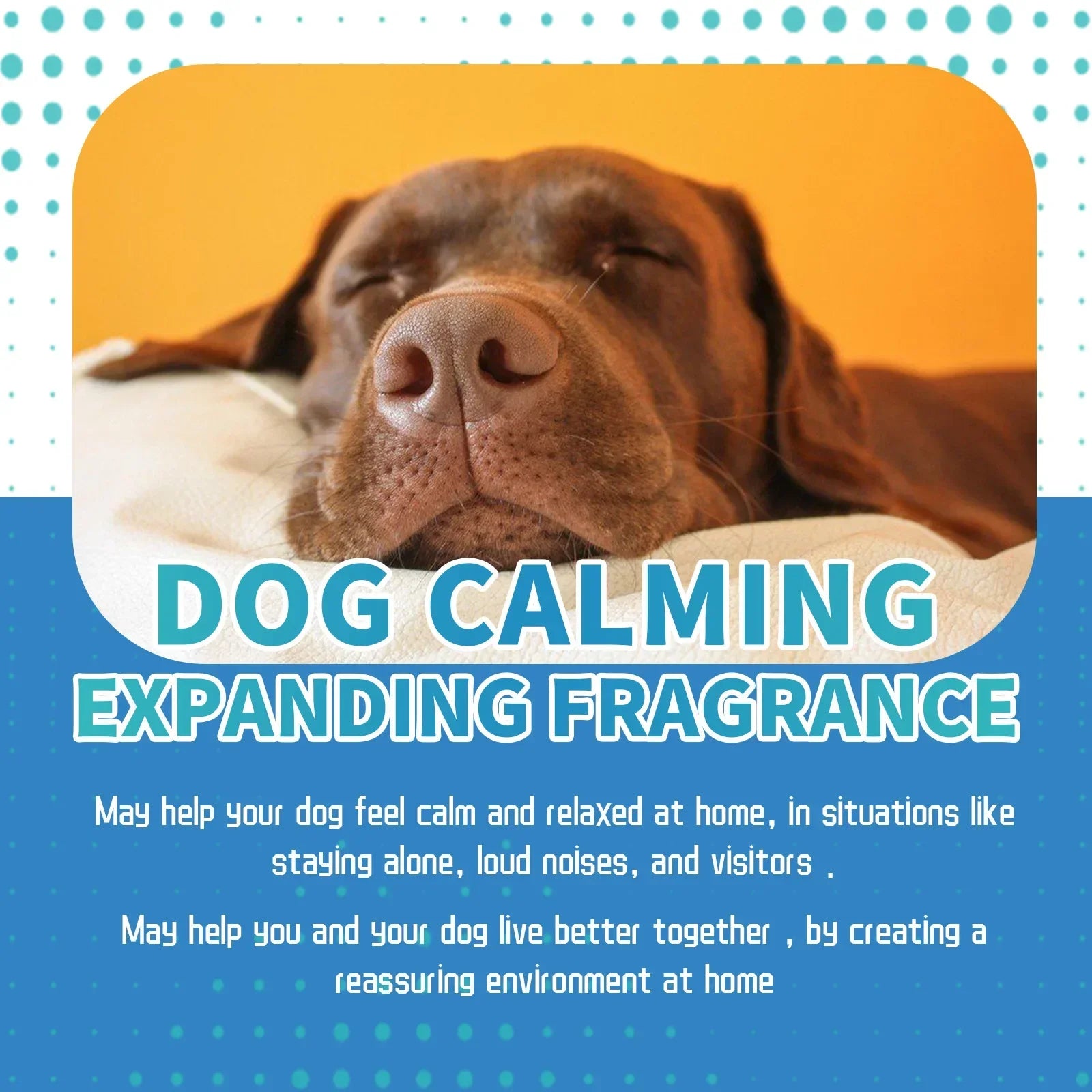 PAWZA™ CalmFlow Anti-Stress Calming Liquid